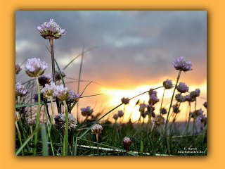 Sonnenuntergang in der Jammerbucht (1).jpg